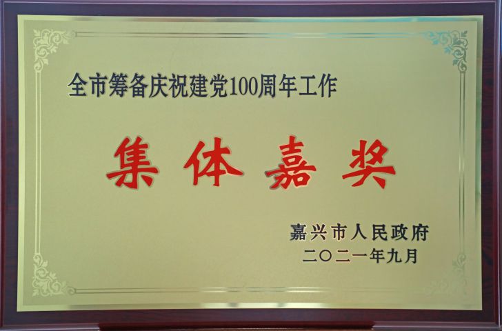 尊龙凯时市筹备庆祝建党100周年工作-集体嘉奖.jpg